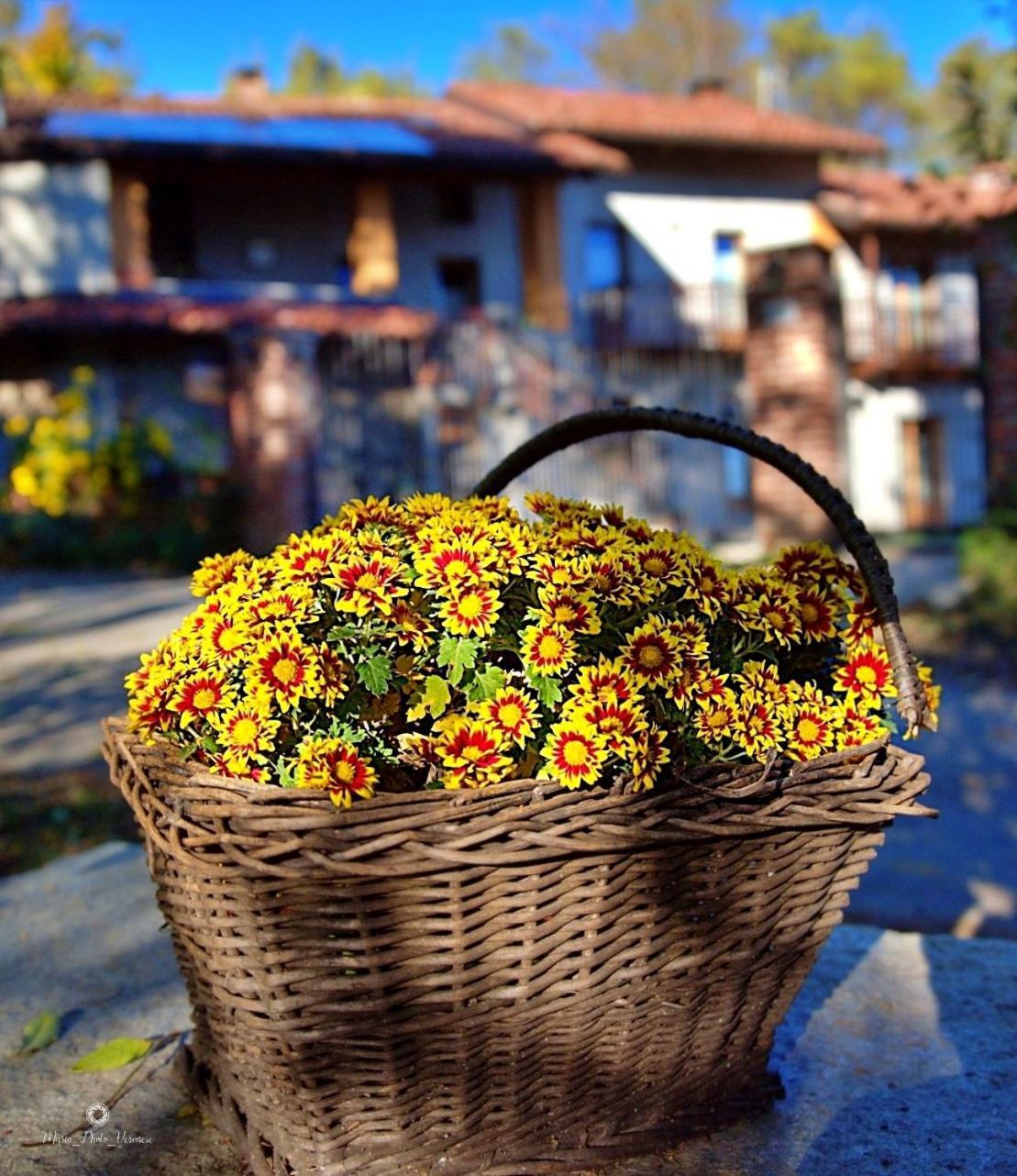 B&B Le Mimose Bricherasio Exteriör bild